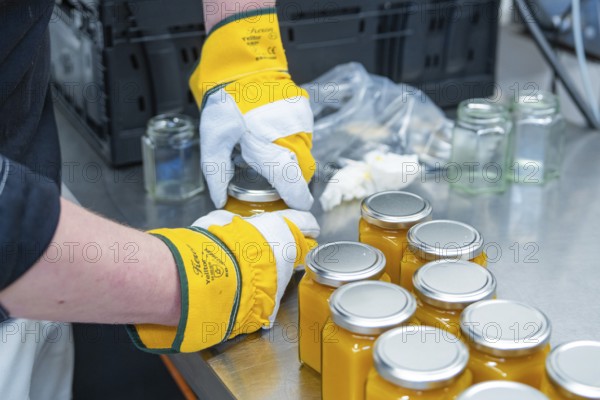 Filling orange liquid into jars, several filled jars on site, jam production, Haselstaller Hof, Wildberg Gültlingen, district of Calw, Black Forest, Germany, Europe