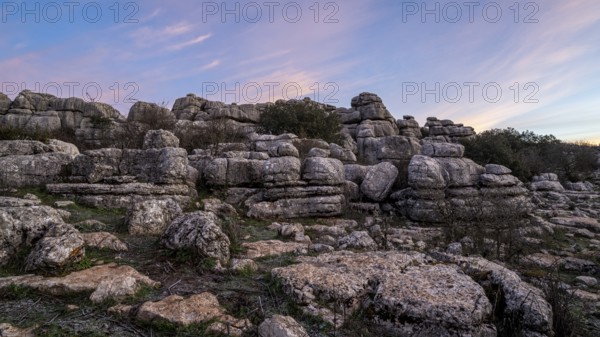 Bizarre limestone rock formations, El Torcal nature reserve, Torcal de Antequera, Malaga province, Andalusia, Spain, Europe