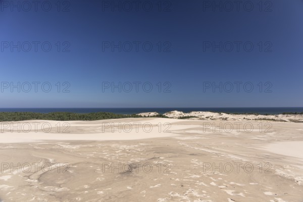 Lacka Dune on a sunny day with a blue sky in the Slowinski National Park, northern Poland on the Baltic Sea coast. 42 metres high and moving at a rate of 3 to 10 metres per year