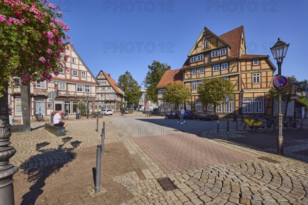 Lantern, flower decoration, ivy geranium (Pelargonium Peltatum), historic half-timbered houses, trees, blue sky, cloudless, intersection of Kleiner Plan street with Mauernstraße and Am heiligen Kreuz, Celle, Lüneburg Heath, district of Celle, Lower Saxony, Germany, Europe