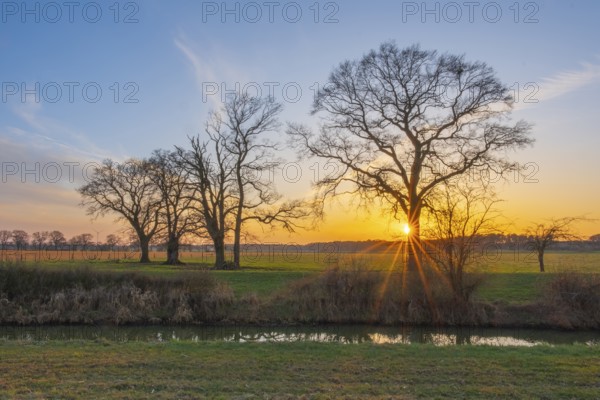 View across a ditch to the silhouettes of non-leafy trees at sunset, Kirchlinteln, Verden, Aller Leine Valley, Lower Saxony, Germany, Europe