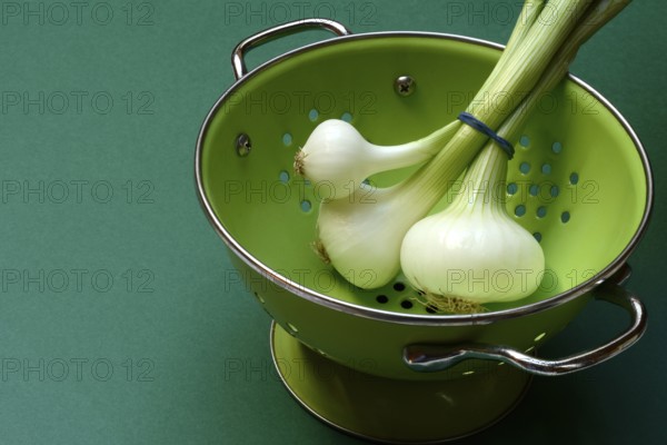 Onion, spring onions in sieve pot