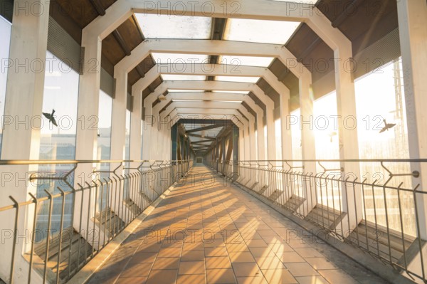 A light-flooded glass corridor with a strict geometry, surrounded by birds and bathed in warm light, Sindelfingen railway station, Böblingen district, Germany, Europe