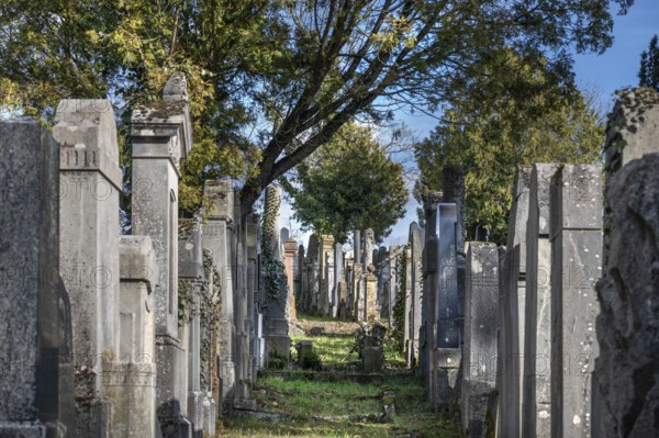 Old gravestones at the Israeli cemetery, inaugurated in 1882, Werner-von Siemens Str. 2, Würzburg, Lower Franconia, Bavaria, Germany, Europe