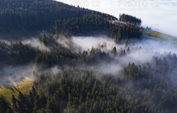 Drone shot, autumn landscape, morning fog over a coniferous forest, Mondseeland, Salzkammergut, Upper Austria, Austria, Europe
