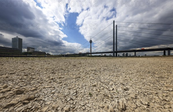 Düsseldorf, North Rhine-Westphalia, Germany, Dry riverbed in the Rhine in front of the Rheinkniebrücke and Rheinturm. After a long dry spell, the level of the Rhine fell to 71 cm today. Skippers speak of small water at this level, Europe