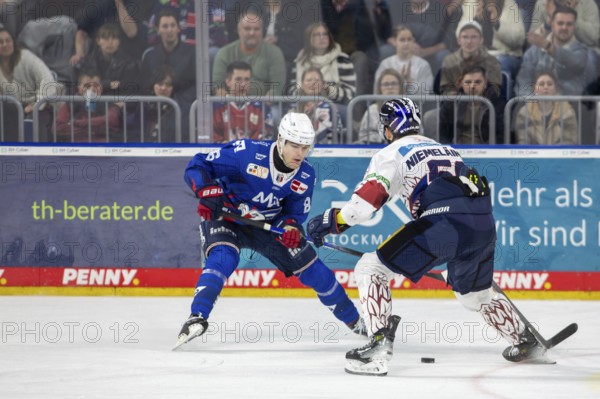 DEL, German Ice Hockey League season 2024/25, Matchday 52: Adler Mannheim vs Eisbären Berlin***Picture: Maximilian Heim (86, Mannheim) and Markus Niemeläinen (56, Berlin)
