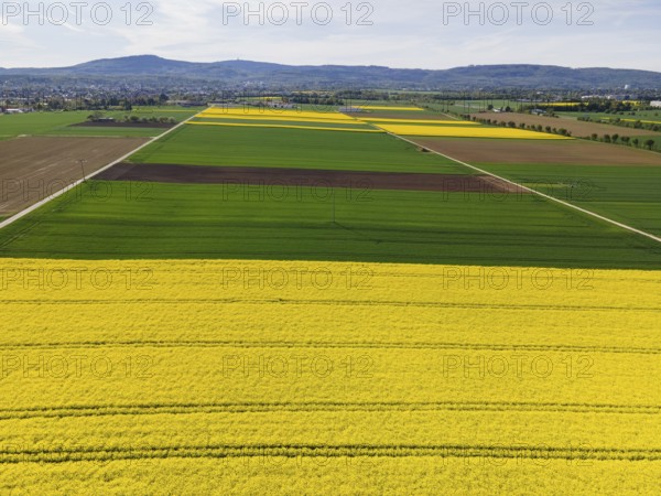 The Taunus ridge rises behind blossoming rape fields. (Aerial view with a drone), Frankfurt am Main, Hesse, Germany, Europe