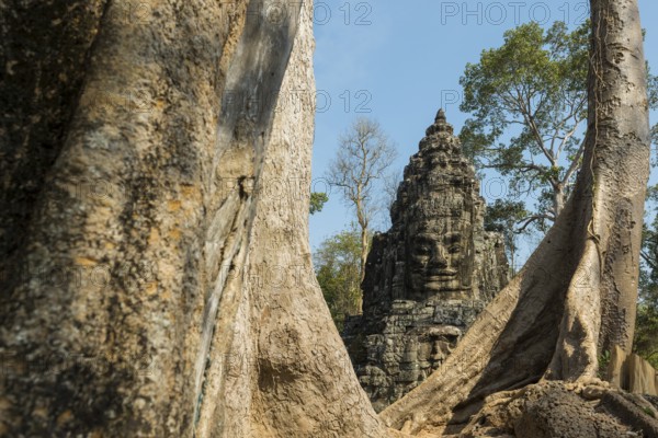 Tor tor with huge faces to Angkor Thom, Angkor Wat, Angkor, UNESCO World Heritage Site, Siem Reap, Cambodia, Indochina, Southeast Asia, Asia