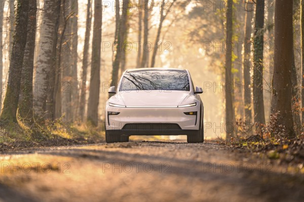 White electric car driving on a tree-lined forest path in soft sunlight, Tesla New Model Y, Germany, Europe