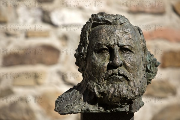 Portrait head Carl Vogt by Thomas Duttenhoefer, bronze, green patina, Giessener Köpfe, Altes Schloss Giessen, Hesse, Germany, Europe