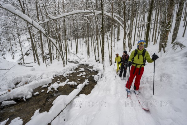 Three ski tourers in snowy winter forest with mountain stream, Hachelbach in Josefstal, Mangfallgebrige, Neuhaus, Bavaria, Germany, Europe