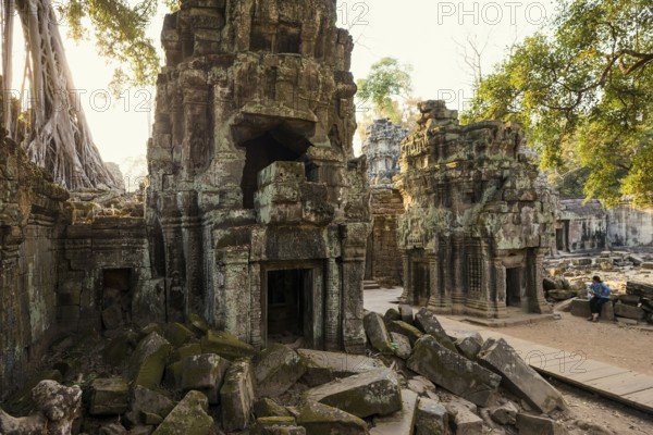 Ta Prohm, Angkor Wat, Angkor, UNESCO World Heritage Site, Siem Reap, Cambodia, Indochina, Southeast Asia, Asia