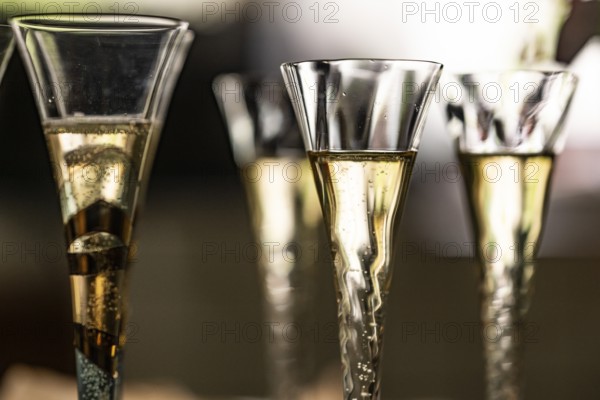 Close-up of filled champagne glasses or champagne flutes against the light