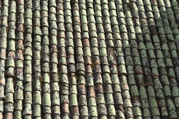 Close-up view of terracotta roof tiles showcasing unique textures and colors. The surface exhibits age with moss, lichen, and natural wear, reflecting a rustic atmosphere. France