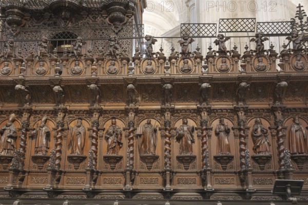 Choir stalls in the Cathedral of the Holy Cross over the Sea, Catedral de Santa Cruz sobre las Aguas, Cádiz, Spain, Europe
