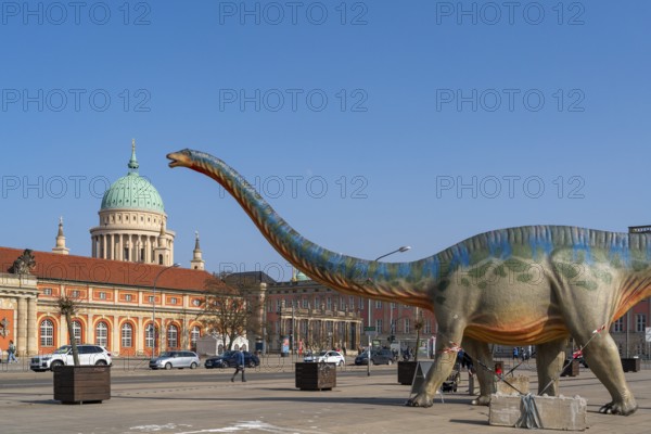 Large figure of a brontosaurus from a dinosaur exhibition in front of the film museum in the historic Marstall and the dome of the Nikolaikirche, Potsdam, Brandenburg