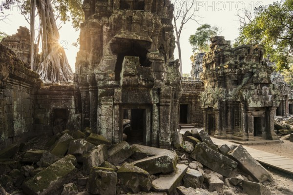 Ta Prohm, Angkor Wat, Angkor, UNESCO World Heritage Site, Siem Reap, Cambodia, Indochina, Southeast Asia, Asia