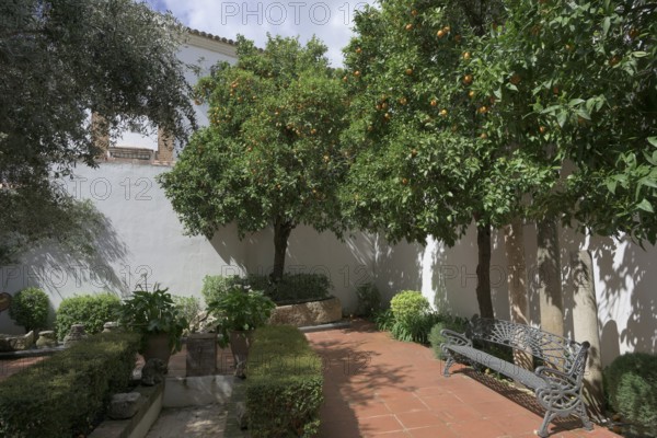 Courtyard, Orange tree (Citrus × sinensis), Museum, Casa del Gigante, Ronda, Malaga, Spain, Europe