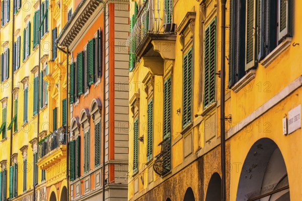 Pastel-coloured house facades with green shutters in the old town of Pisa, Pisa, Tuscany, Italy, Europe