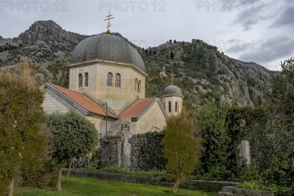 Serbian Orthodox Church of St Nicholas, seen from the city wall, Kotor, Montenegro, Balkans, Europe