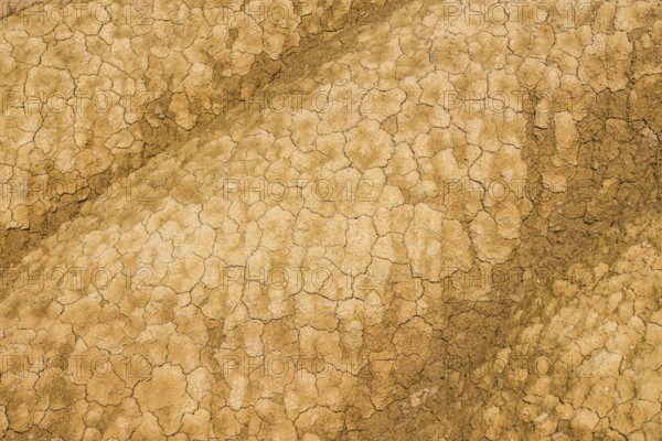 Dry cracked earth texture creates a dramatic pattern, highlighting the impact of severe drought and arid climate conditions