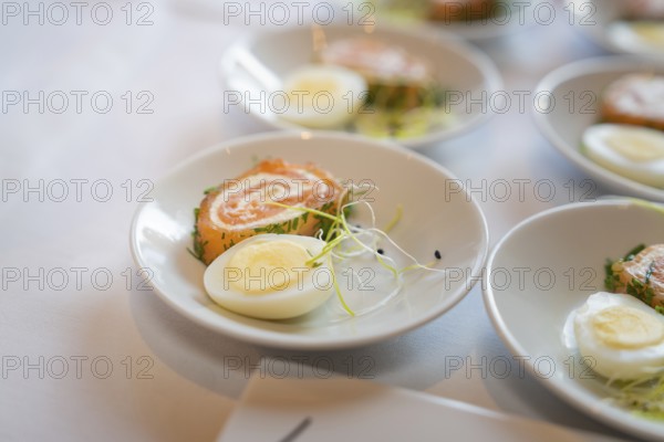 A plate of smoked salmon and half an egg, arranged as an elegant starter, Europäischer Hof, Königsbach, Germany, Europe