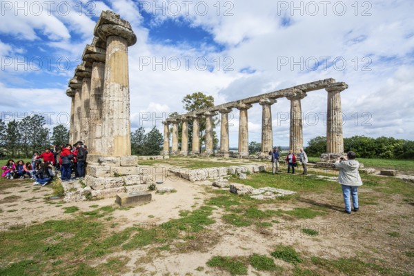 Columns of the Doric Temple of Hera, archaeological site site of Metaponto, Bernalda, Basilicata region, Italy, Southern Europe, Europe