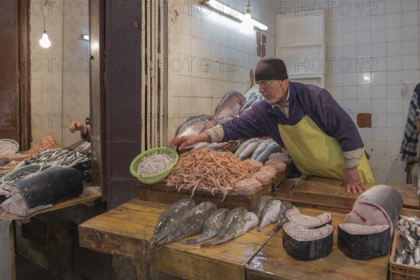 Seafood for sale at a traditional Moroccan market, Medina Fes, Morocco, Africa