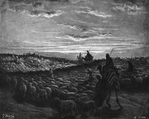 Bible, Abraham goes to Canaan, 1st book of Moses, herd of sheep, camels, rider, shepherd, guardian, cloudy sky, Moses, Old Testament, historical illustration 1885