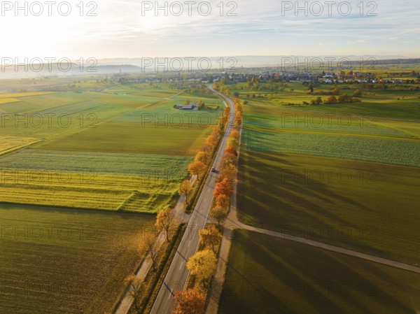 Aerial view of an avenue at sunrise in autumn, Herrenberg, Germany, Europe