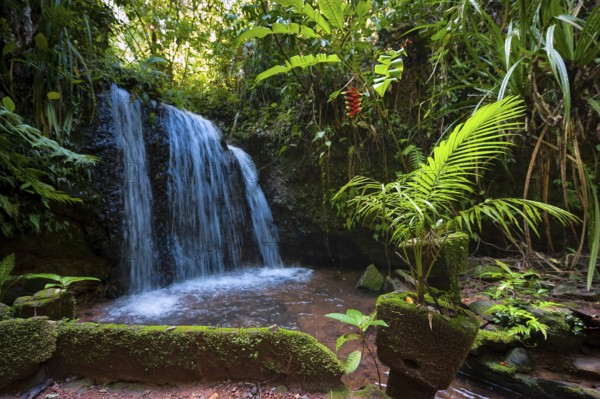 Park with waterfall, tropical, tropics, travel, holiday, Paronella Park, Innisfail, Queensland, Australia, Oceania