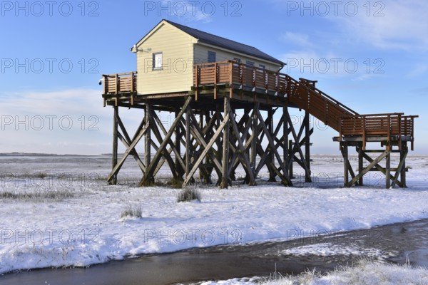 Pile dwellings in St. Peter-Ording, Schleswig-Holstein, Germany, Europe
