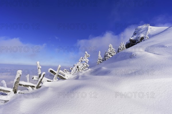 Winter landscape, Rigi Staffel, Canton Schwyz, Switzerland, Europe