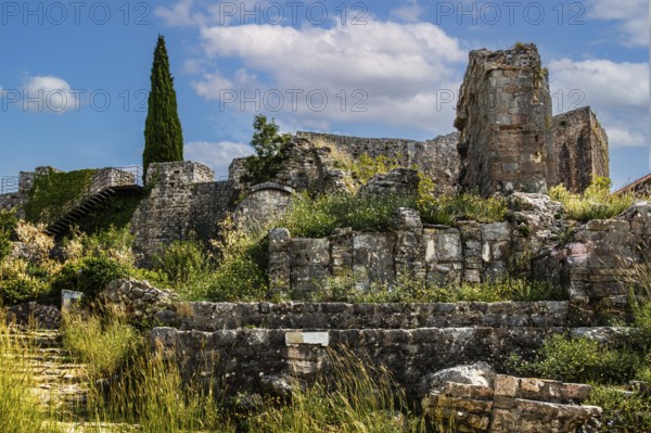 Ascent to the citadel, ruined city of Stari Bar, originally from the 11th century, is one of the most culturally and historically valuable sites in Montenegro, Stari Bar, Montenegro, Europe