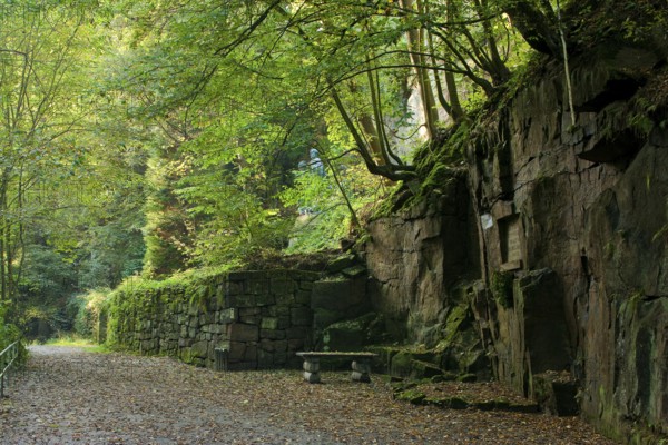 Liebethaler Grund near Lohmen in Saxon Switzerland
