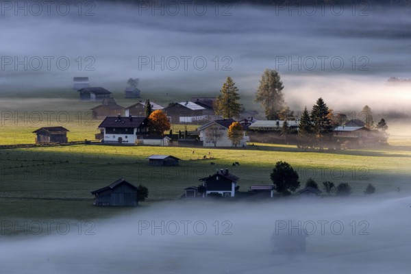 Morning atmosphere, fog near Oberstdorf, Oberallgäu, Bavaria, Germany, Europe