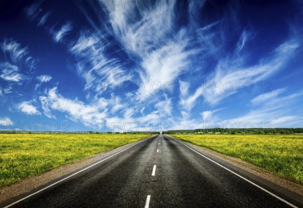 Travel concept background, road in blooming spring meadow