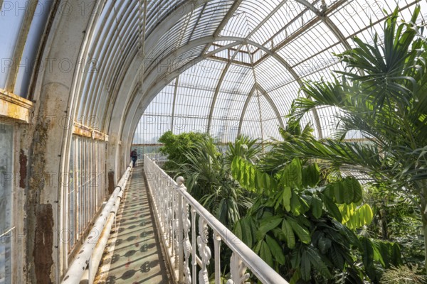 Palm House, oldest Victorian greenhouse in the world, Royal Botanic Gardens, Kew, London, England, Great Britain