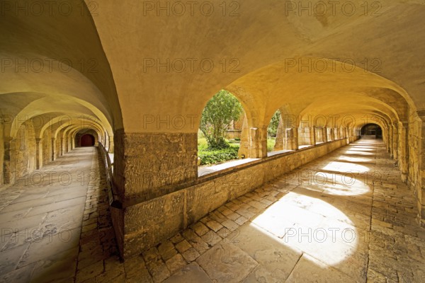 Cloister with view through the cemetery to the Thousand Year Rosebush, Mariendom, Hildesheim, Lower Saxony, Germany, Europe
