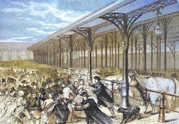 Agriculture Exhibition, Fat Ox Competition, at the Marche de la Vilette, 1869, France, Historic, digitally restored reproduction of an original 19th century artwork, exact original date unknown, Europe