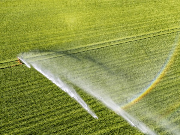 Artificial irrigation of a cereal field in April, with a sprinkler system, long dry spell in spring makes this necessary for the young plants to grow well, Kerken, Lower Rhine, North Rhine-Westphalia, Germany, Europe