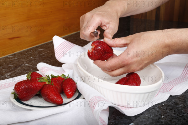 Swabian cuisine, preparation of filled pancakes, Flädle with strawberry jam and icing sugar, Gsälz, fresh strawberries, cutting berries, slicing, sweet, dessert, dessert, arranged on plate, grandmother's kitchen, regional, home cooking, typical Swabian, Swabian kitchen classic, traditional cuisine, men's hands, knife, food photography, studio, Germany, Europe