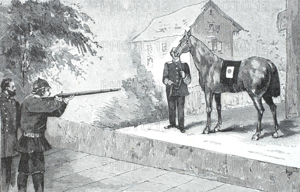 Test of the Dowe bulletproof armour, shooting attempt at a horse with a bulletproof vest, Heinrich Dowe, Mannheim, around 1890, Germany, digital reproduction of an original 19th century model, historical, A man aims a gun at a horse marked with a target, Europe