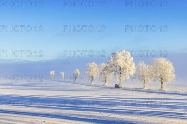 Car driving on a country road with frosty trees and fog on a plain on a cold winter day in the countryside. Sweden