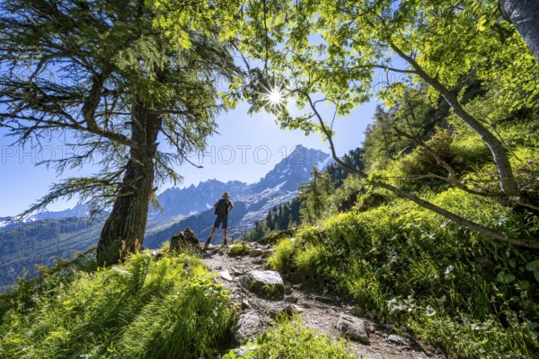 Hiker on hiking trail with sun star, hiking trail La Jonction, behind summit of Aiguille du Midi, Chamonix, Haute-Savoie, France, Europe