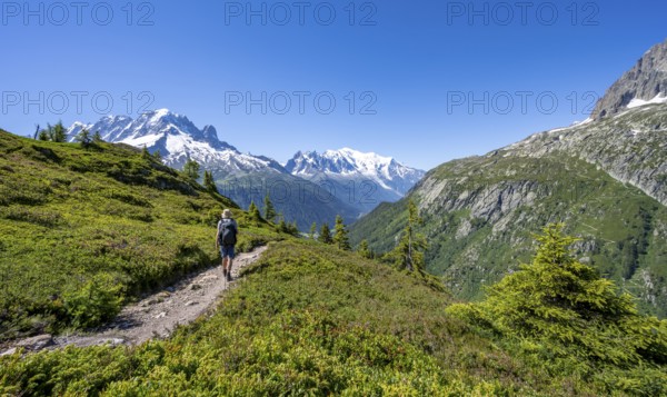 Mountaineer on hiking trail, mountain panorama with glaciated mountain peaks, Aiguille Verte with Aiguille du Midi and Mont Blanc, hike to Aiguillette des Posettes, Chamonix, Haute-Savoie, France, Europe