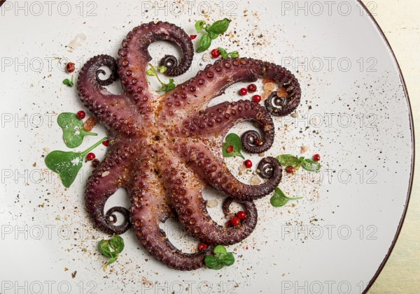 Boiled octopus, close-up, rustic style, no people, top view, close-up