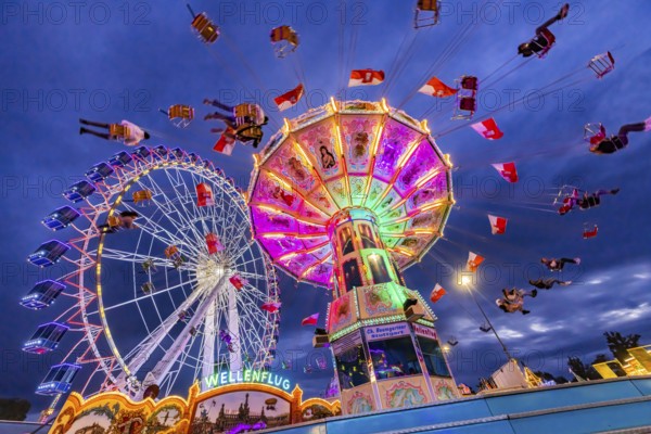 Chain carousel and Ferris wheel in the evening. 177th Cannstatter Volksfest at the Cannstatter Wasen. Bad Cannstatt, Stuttgart, Baden-Württemberg, Germany, Europe