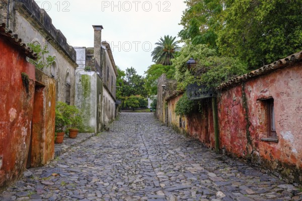 Colonia del Sacramento, Colonia, Uruguay, The calle de los suspiros (alleyway of sighs) is one of the most famous sights in Colonia del Sacramento. Colonia del Sacramento is a city on the Río de la Plata in Uruguay. It is the capital of the department of Colonia. Colonia del Sacramento is the oldest city in Uruguay and its historic centre, a popular tourist destination, has been declared a UNESCO World Heritage Site, South America